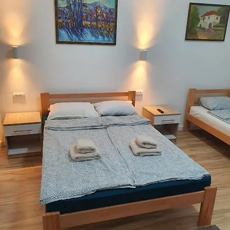Vik Guest house Soko Banja