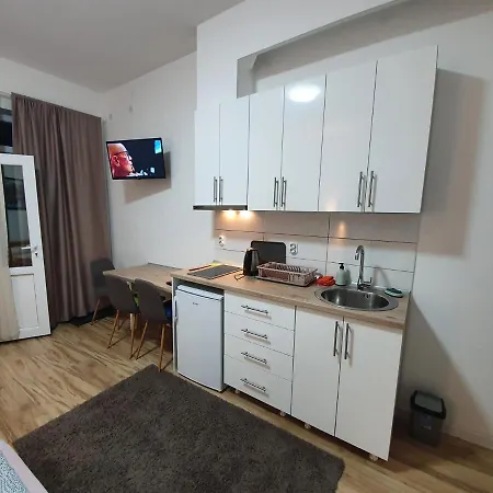 Guest house Vik Soko Banja